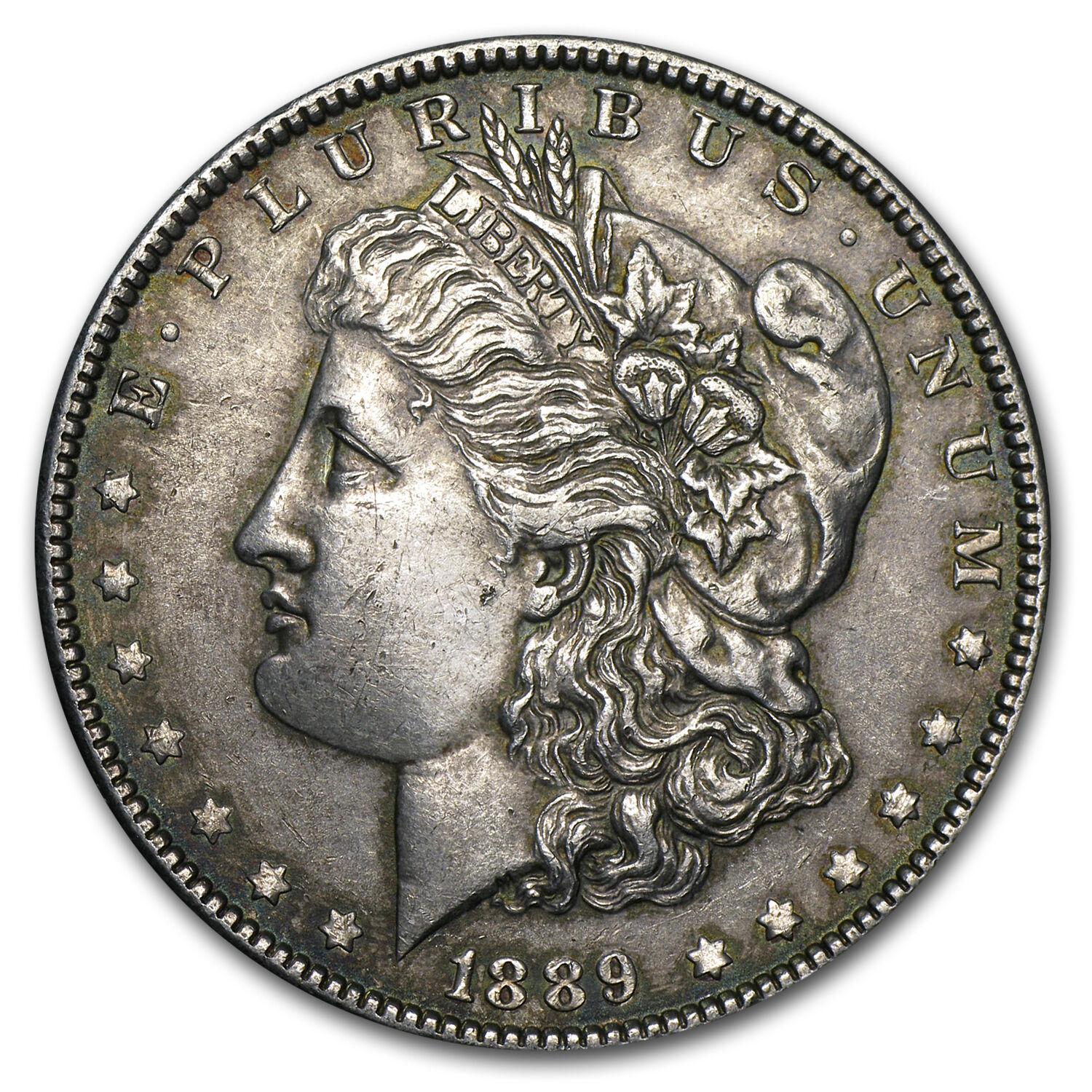 Morgan Silver Dollar Coin - XF