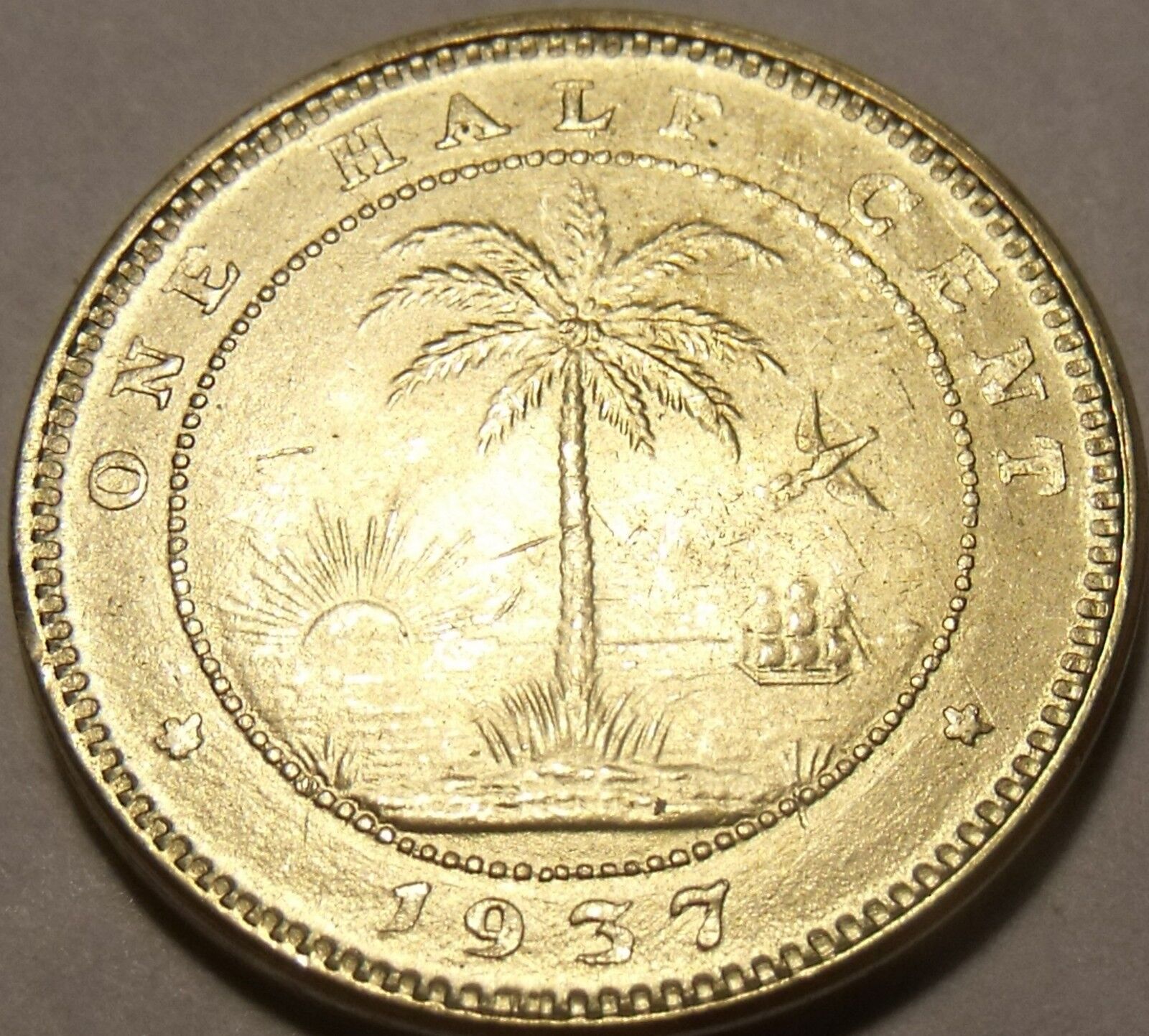 Rare Gem Unc Liberia 1937 Half Cent~1st Coin Ever Minted By Liberia~Elephant~F/S