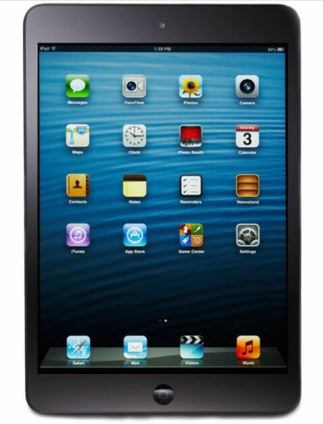 (Defective) Apple iPad mini 1st Gen. 16GB, Wi-Fi, 7.9 in - Black 
