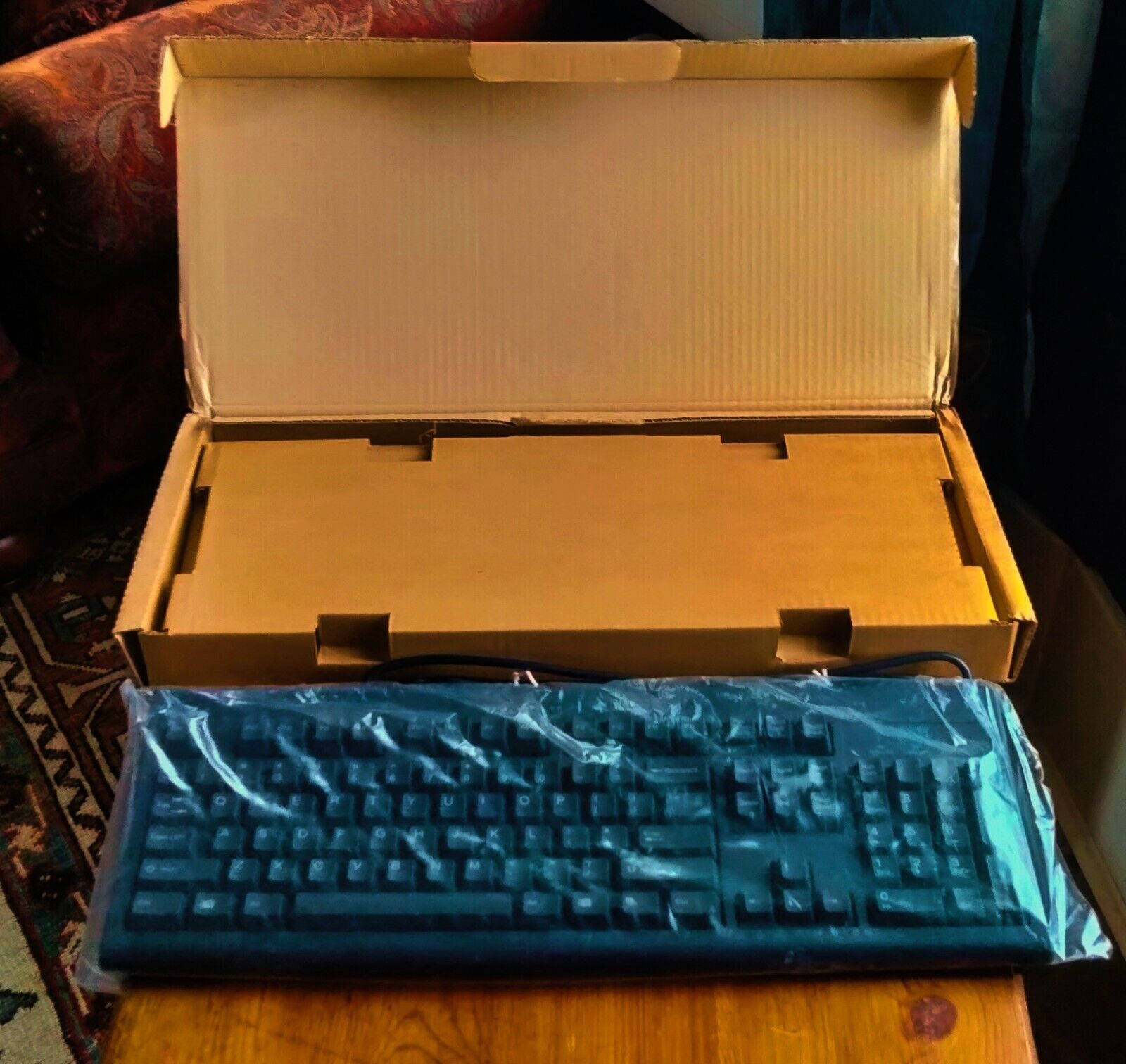 VINTAGE Original IBM Keyboard P/S2 Corded KB-3923 Blue Logo BLACK Retro NEW NOS