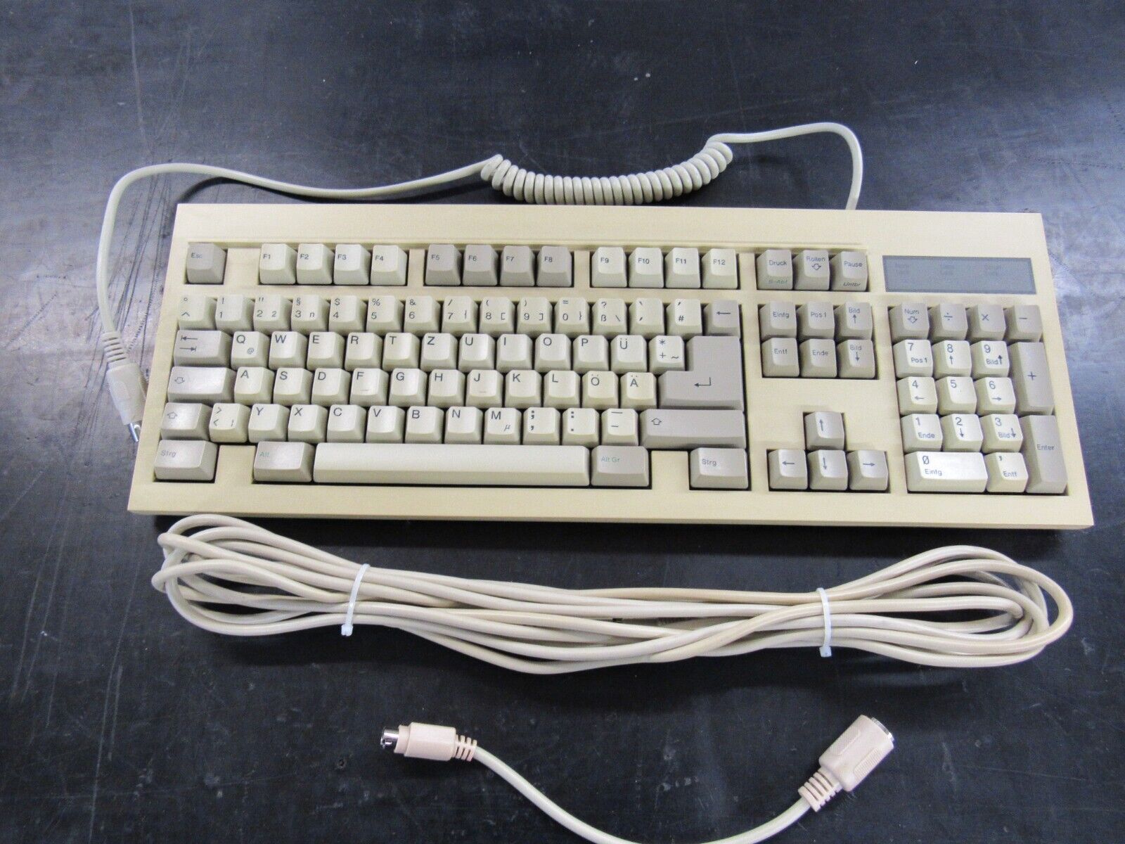 Vintage ZEOS NTC KB-6251/2 Clicky Keyboard AT PS/2 5 pin & 6 pin 101-102  German