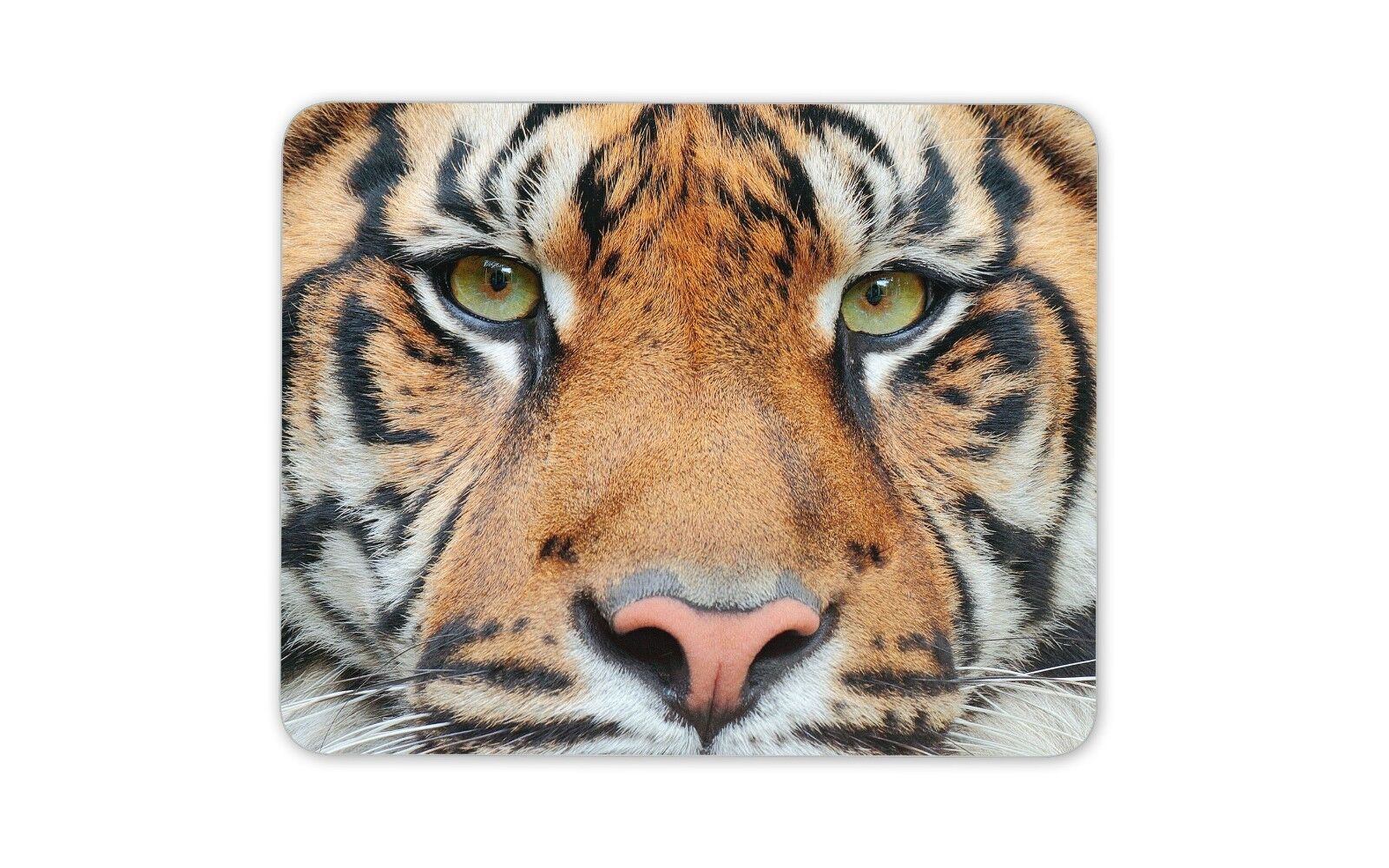 Tiger Face Close Up Mouse Mat Pad - Animal Big Cat Lion Wildlife Fun Gift #15044