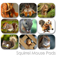 SQUIRREL WILD FOREST HUNTING BEAUTIFUL ANIMAL CUSTOM MOUSE PAD MOUSEPAD  (SM-01) picture