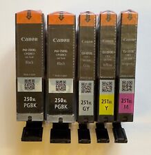 Canon Pixma OEM Ink cartridges 250, 251 picture