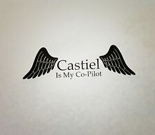 Supernatural Castiel Is My Co-Pilot Vinyl Die Cut Car Laptop Decal Sticker Wings picture