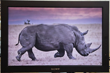 Sony Monitor SDM-P232W TFT LCD COLOR COMPUTER DISPLAY picture