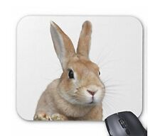A little sideways rabbit face mouse pad 1 animal photo pad world wild animals se picture