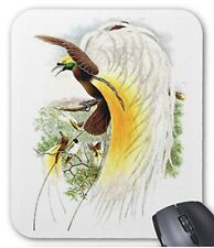 Bird of Paradise Mouse Pad Photo Pad Wild Birds of the World Series picture