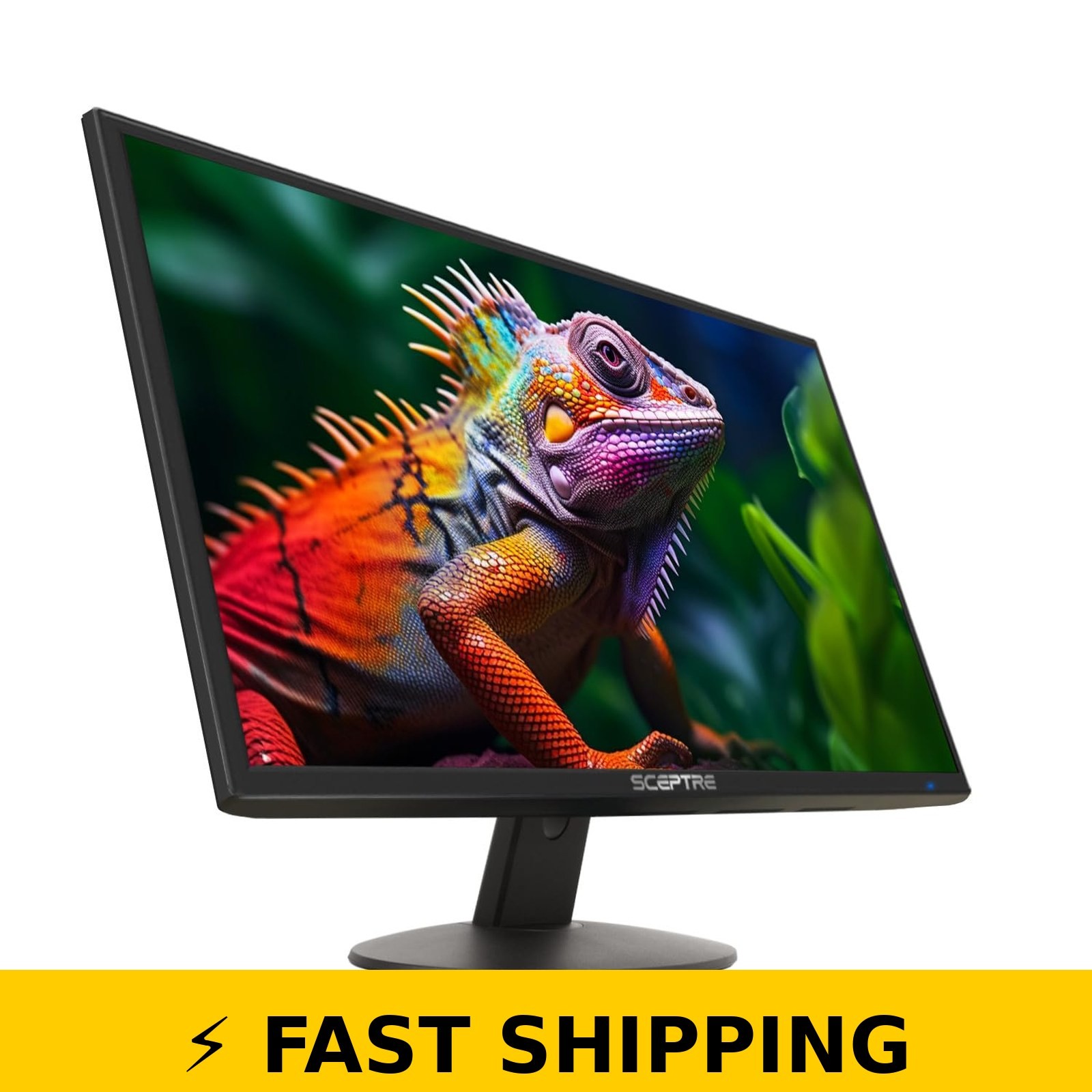 Sceptre 24" 1080p LED Monitor with Built-in Speakers, 99% sRGB