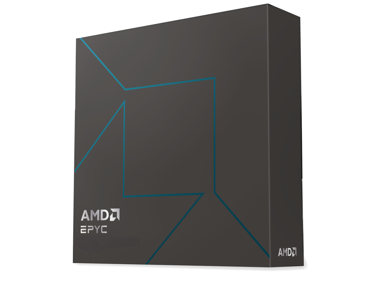 AMD 100100001558WOF EPYC 4465P 12 core Server Processor