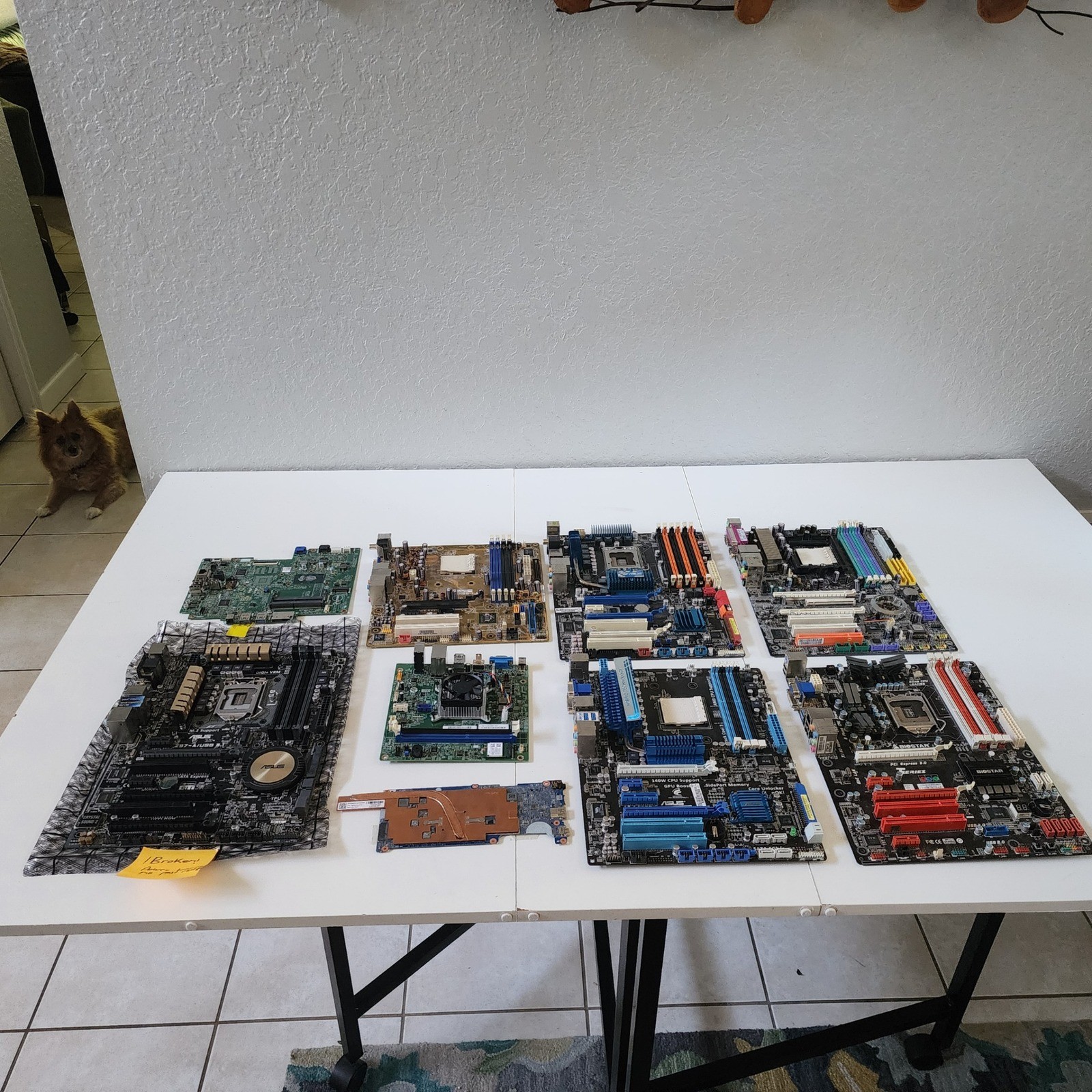 Motherboard Lot OF 9 ASUS Z97-A M4A89GTD PRO Biostar TZ77A MSI Mixed FOR PARTS