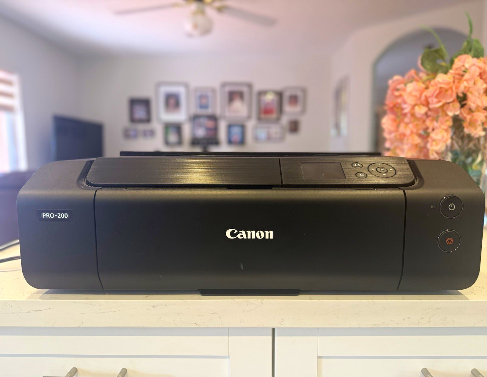 Canon PIXMA PRO-200 Wireless USB Color Inkjet Photo Printer, Borderless A3+