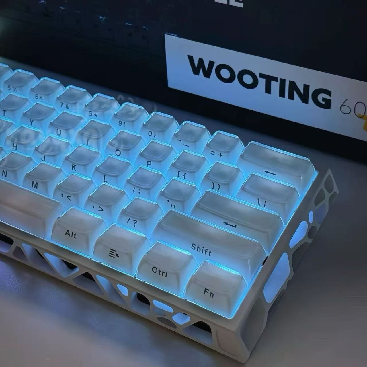 Fully Customized Wooting 60 HE (Contact for further personalization)