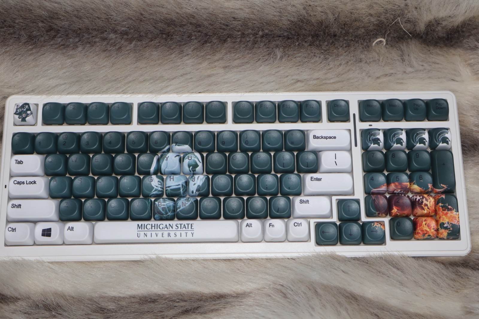 Custom Michigan State Aula f99 wireless mechanical keyboard, PBT MOA keycaps RGB