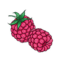 Raspberry