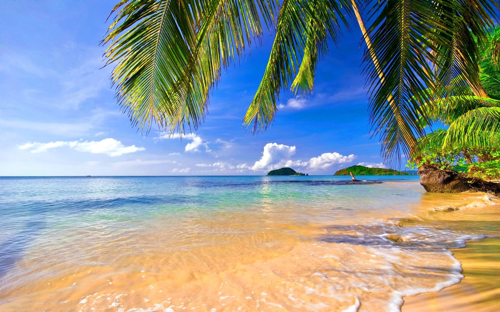 Landscape tropical beach palm Custom Gaming Mat Desk