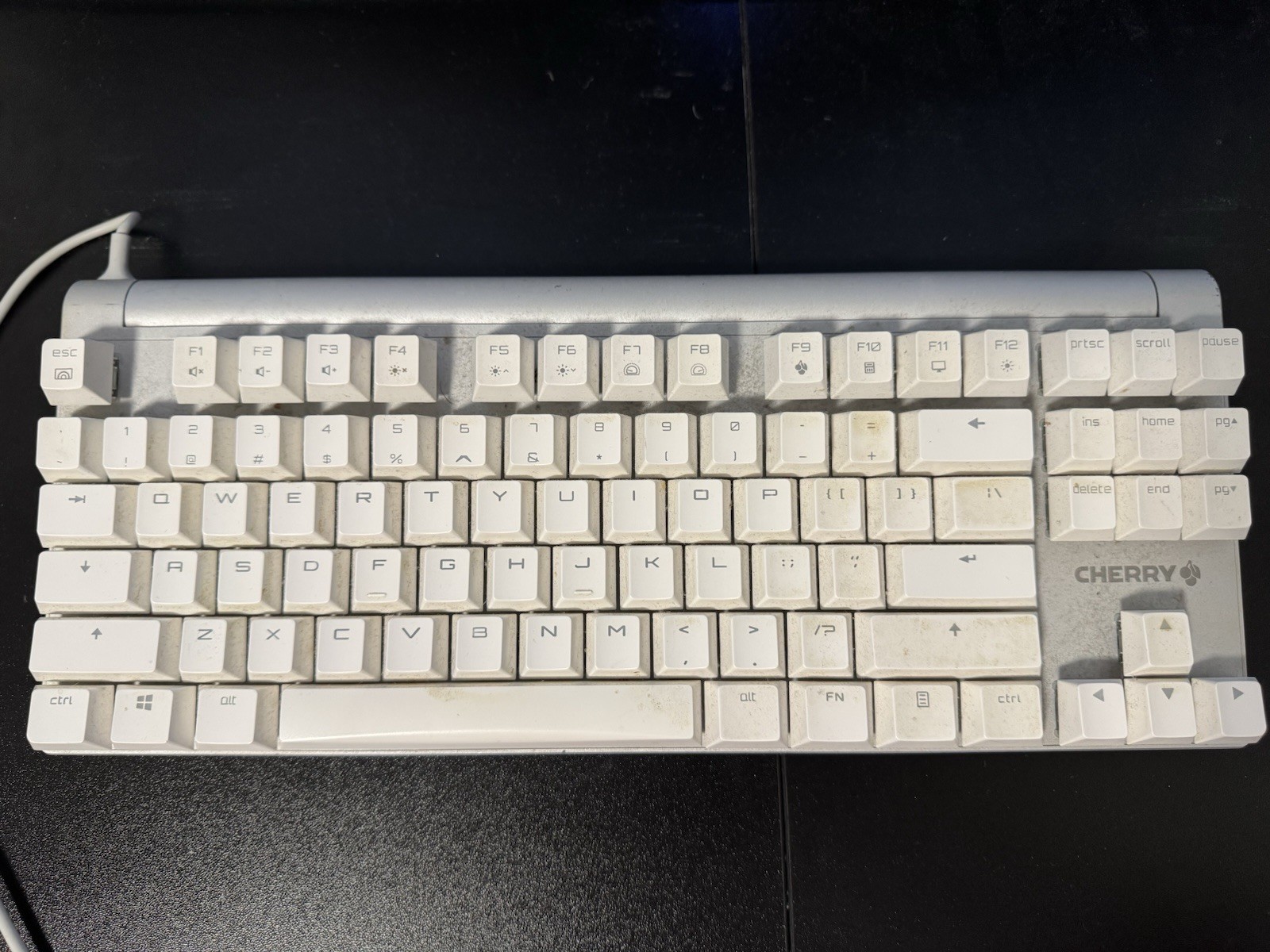 CHERRY MX Board 8.0 TKL Wired Mechanical Keyboard MX Blue Switches Silver White