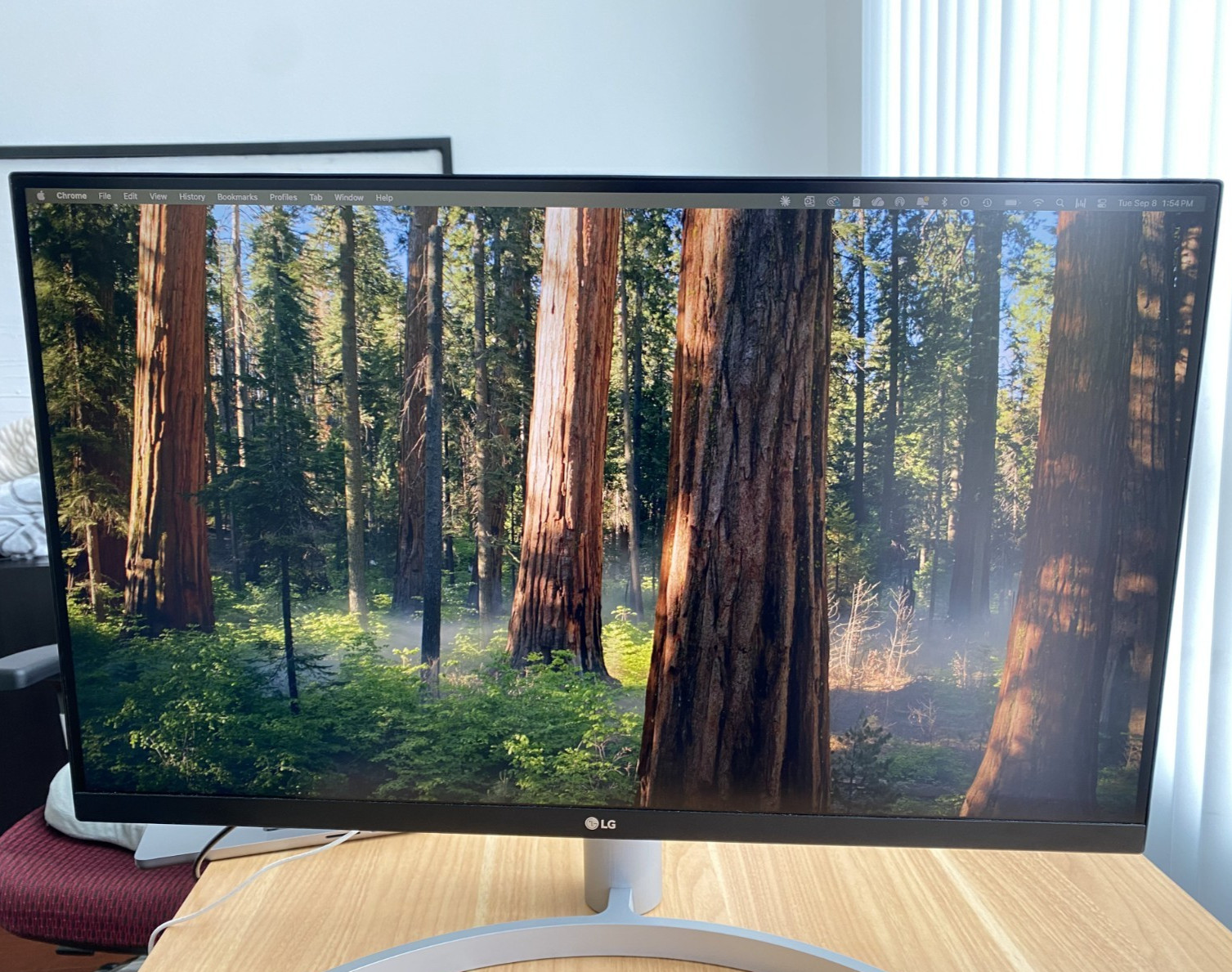 LG 27UK650-W 27” Inch UHD (3840 x 2160) IPS Display with HDR 10, sRGB 99% Color