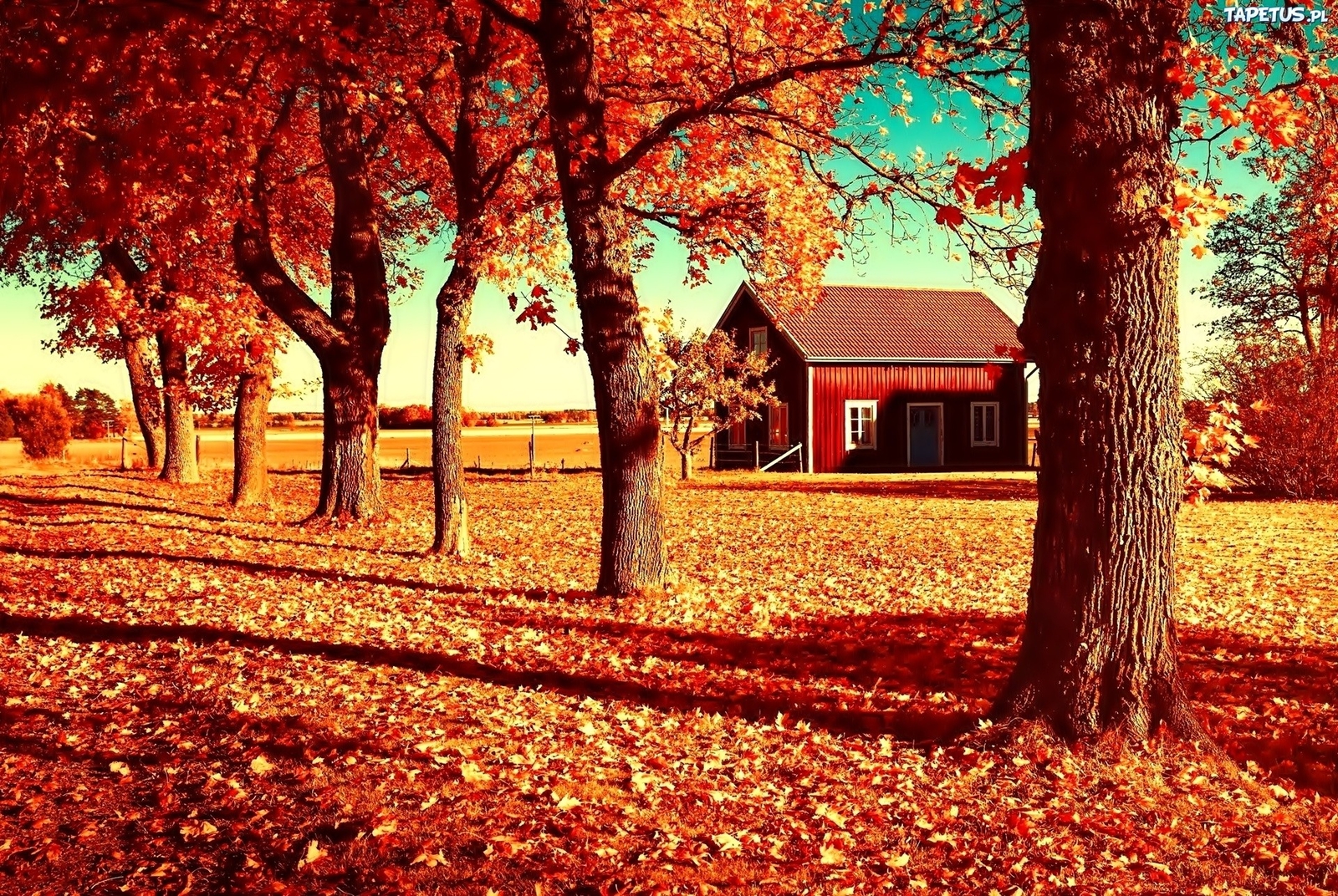 Landscape village trees fall red leaves house rural Custom Gaming Mat Desk