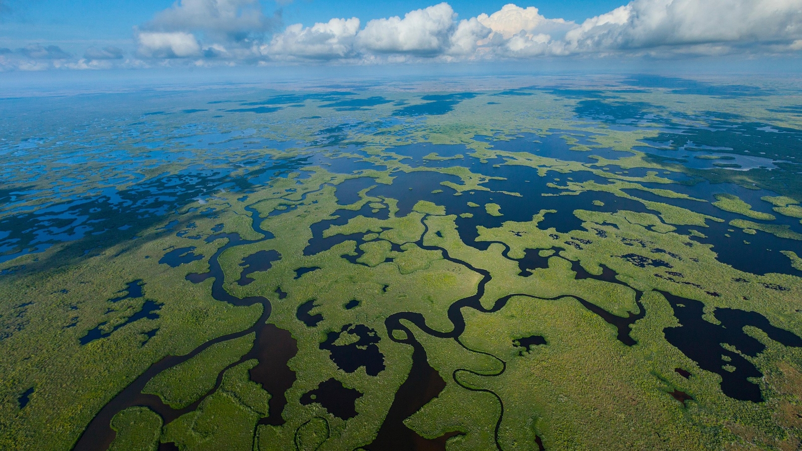 Landscape aerial view drone photo nature wetland Custom Gaming Mat Desk