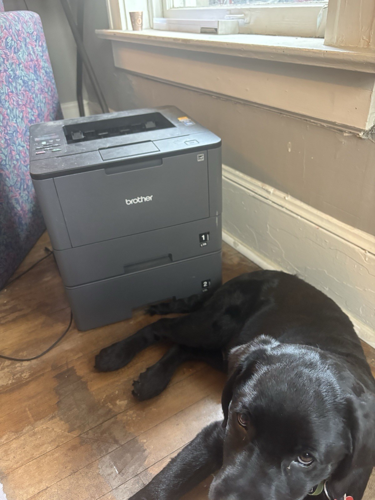 Brother HL-L5200DWT Monochrome Laser Printer - Black