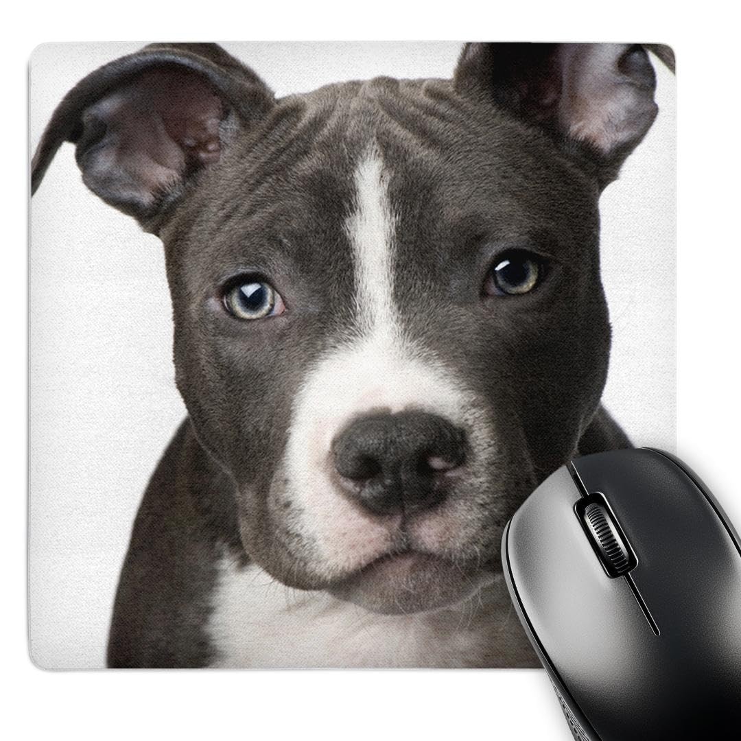 3dRose LLC 8 x 8 x 0.25 Inches Mouse Pad, American Pit Bull Terrier Puppy