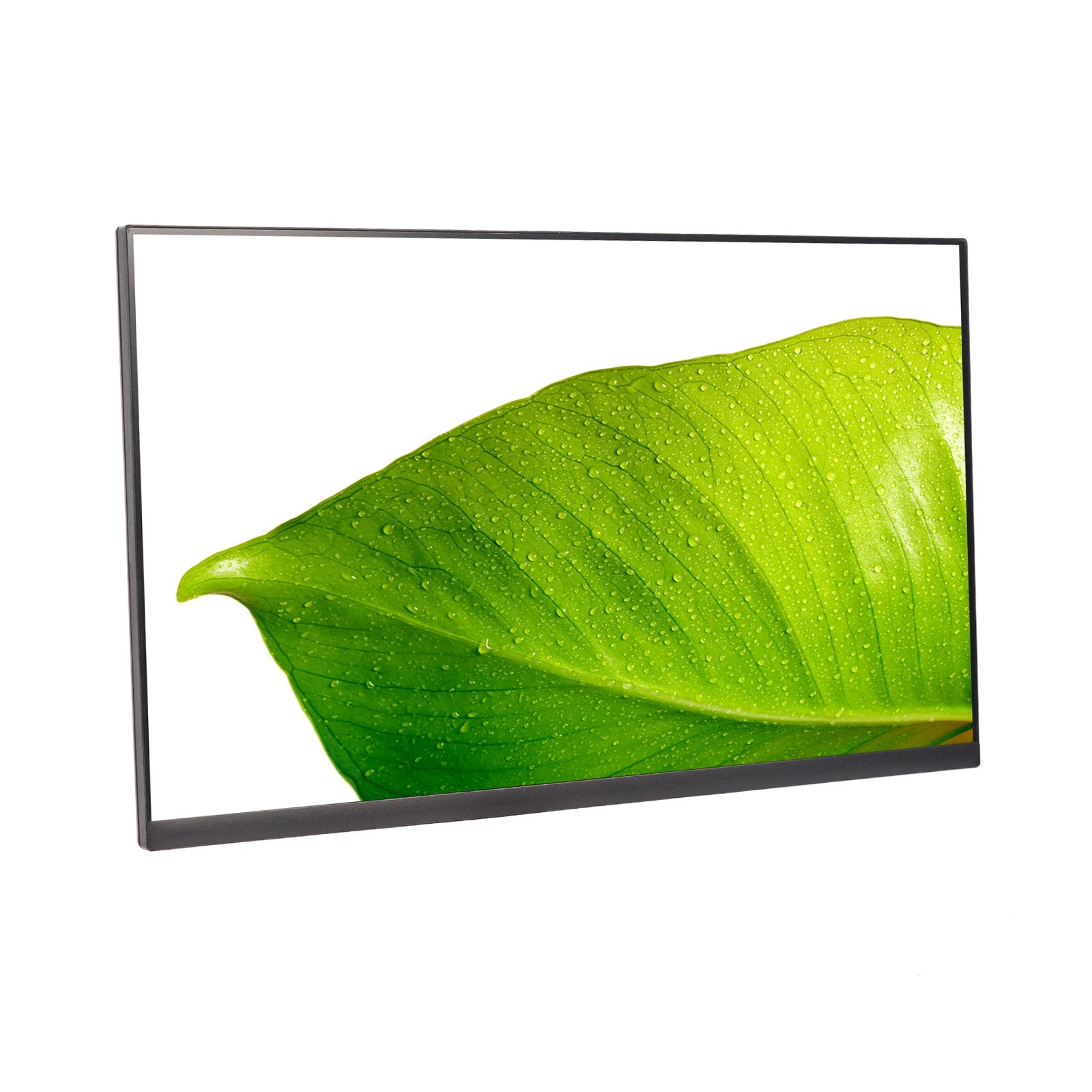 Dell P2422H 24" Widescreen 1920x1080 LED-Backlit IPS LCD Monitor ONLY - Grade B