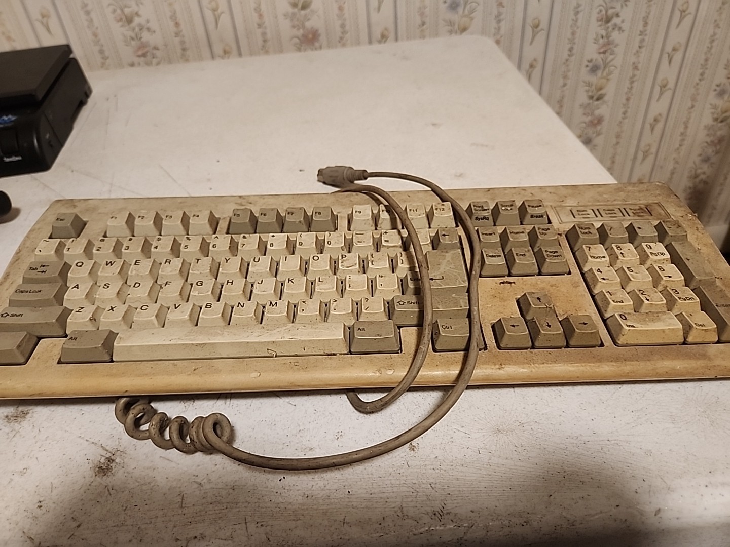Chicony Electronics Keyboard KB-5311 FCC ID E8HKB-5311