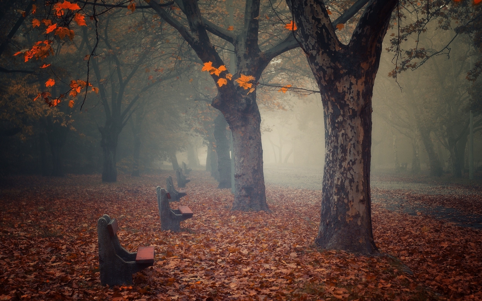 Landscape fall bench leaves park trees calm fallen Custom Gaming Mat Desk