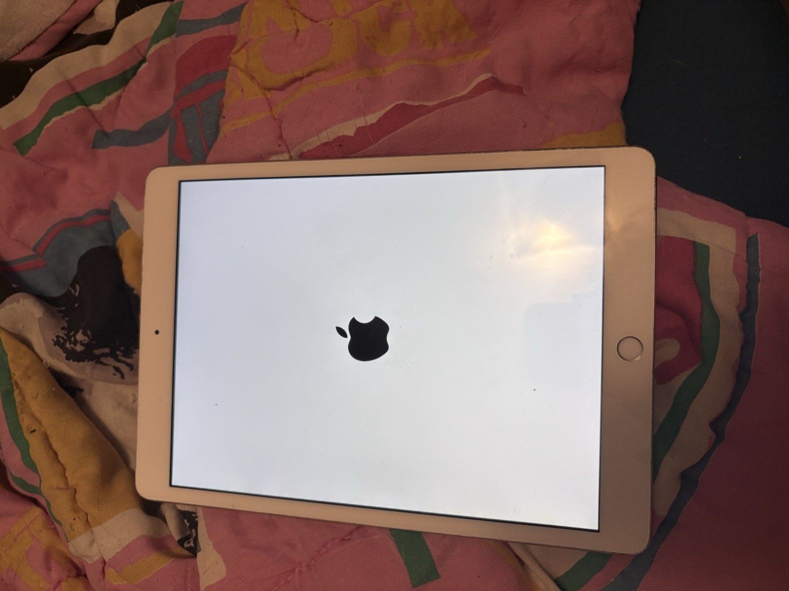 Lot of 2 Apple iPad Generation 8 and iPhone SE 2020