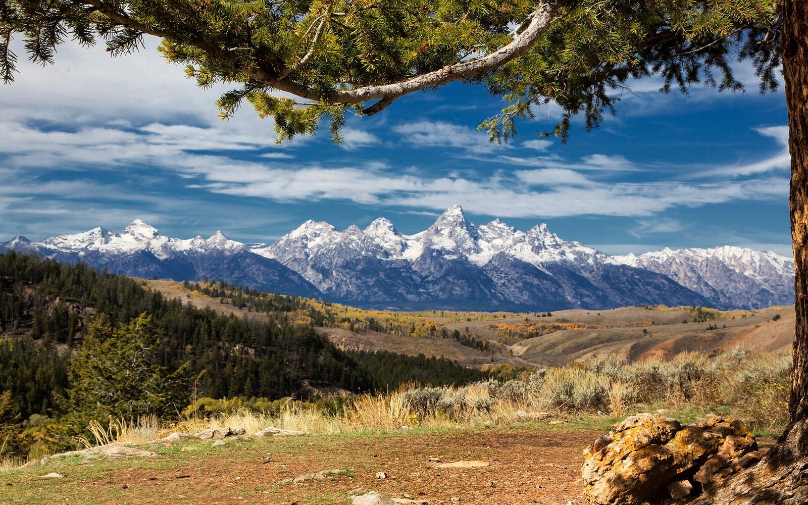 Landscape nature mountains forest snowy peak grand teton Custom Gaming Mat Desk