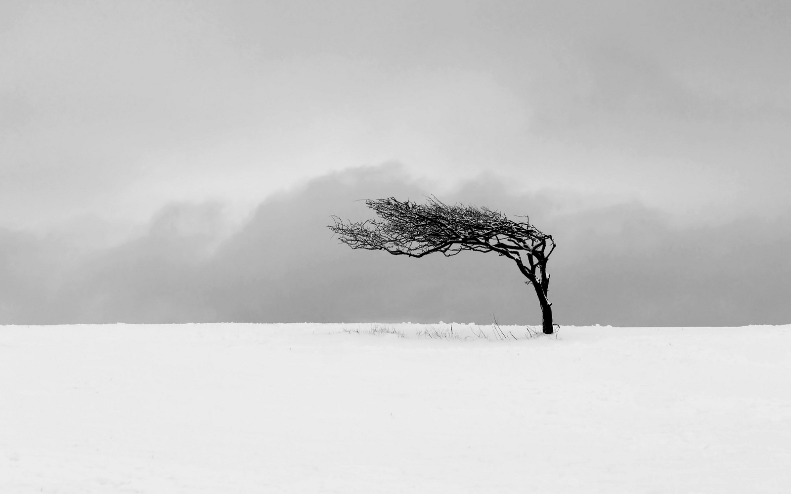 Landscape nature trees winter snow monochrome minimalism Custom Gaming Mat Desk