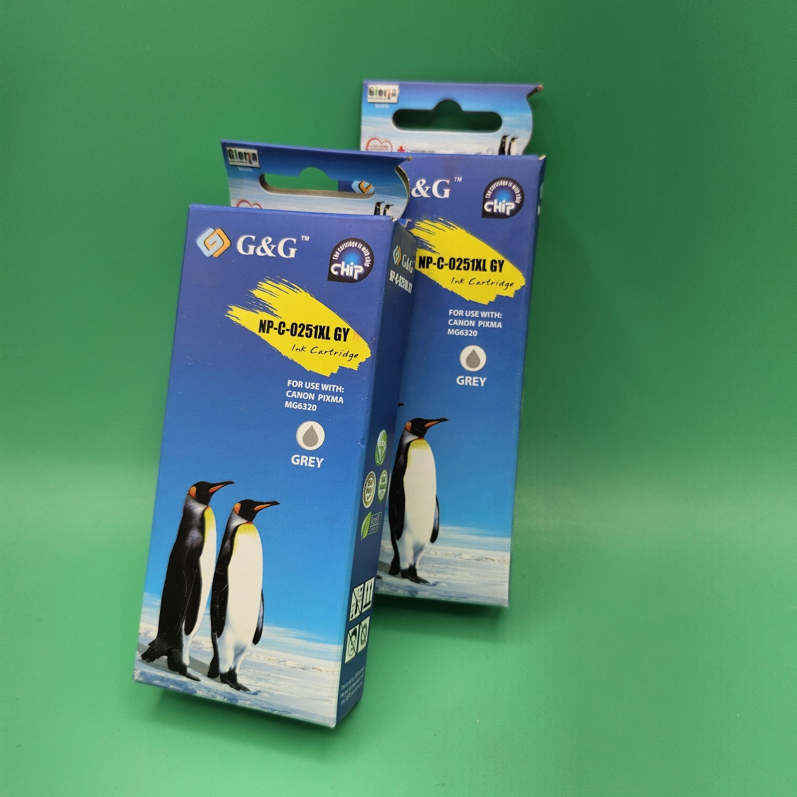 G&G Lot of 2 Grey Ink Cartridge NP-C-0251XL GY PIXMA MG6320 06/2017 SEALED SET