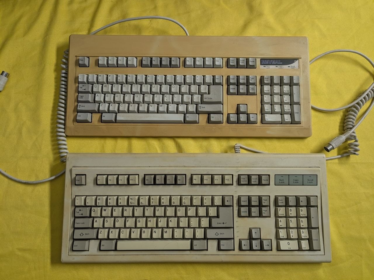 Lot of 2 Vintage AT DIN Keyboards Reveal RT101+ & Lite-On SK-8801B-U TC
