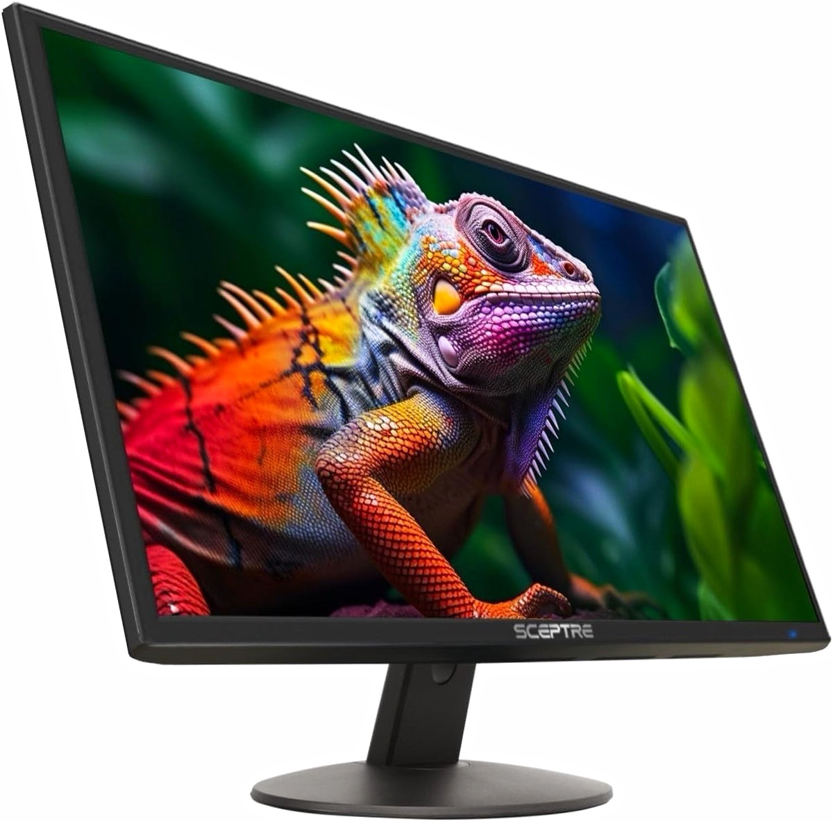 Sceptre E248W-19203R 24" LED Monitor 1080p 75Hz HDMI VGA Blue Light