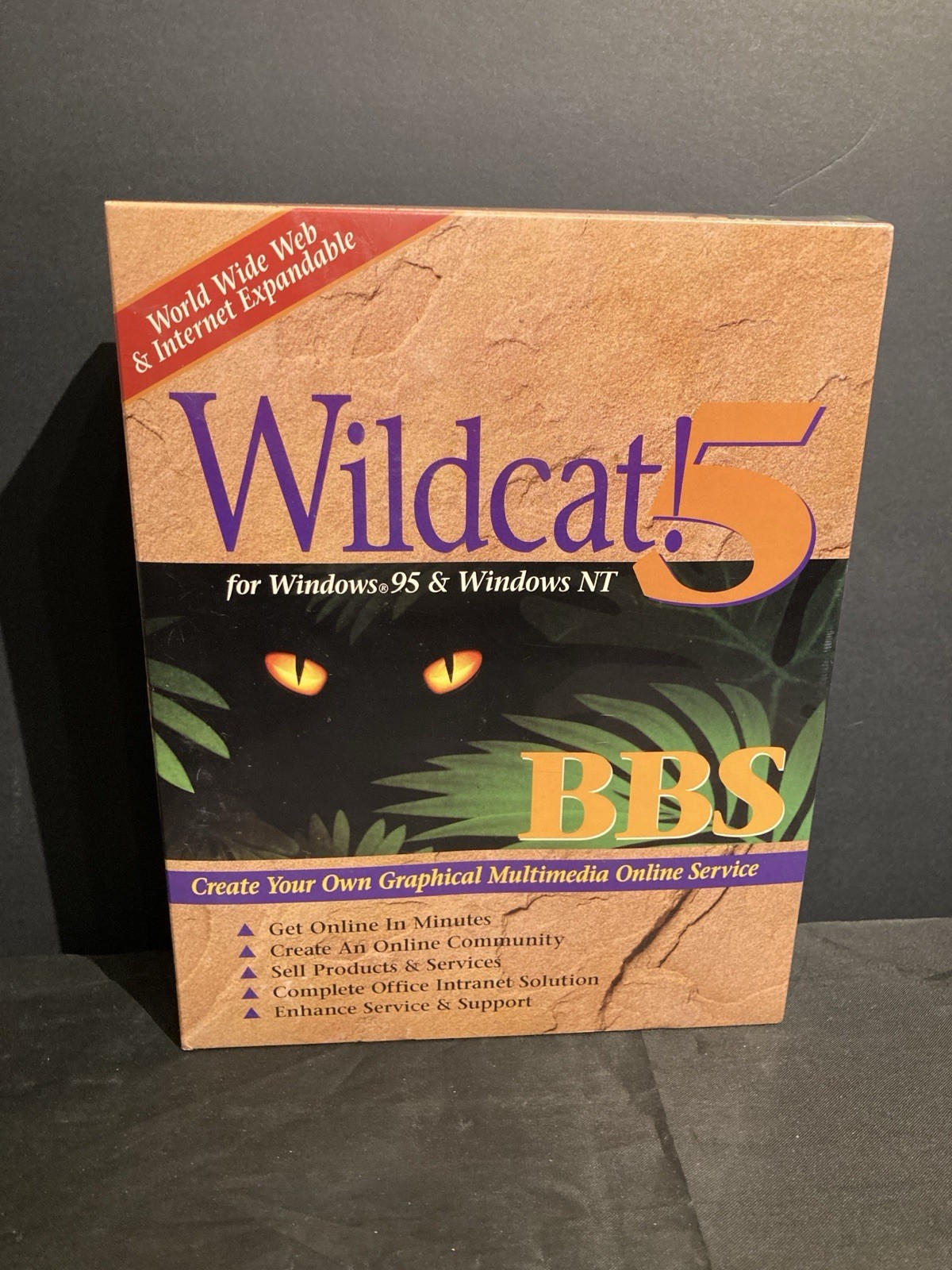 Wildcat 5 BBS Windows 95 and NT 2-Line Retail Mustang 1996 Big Box Sealed New