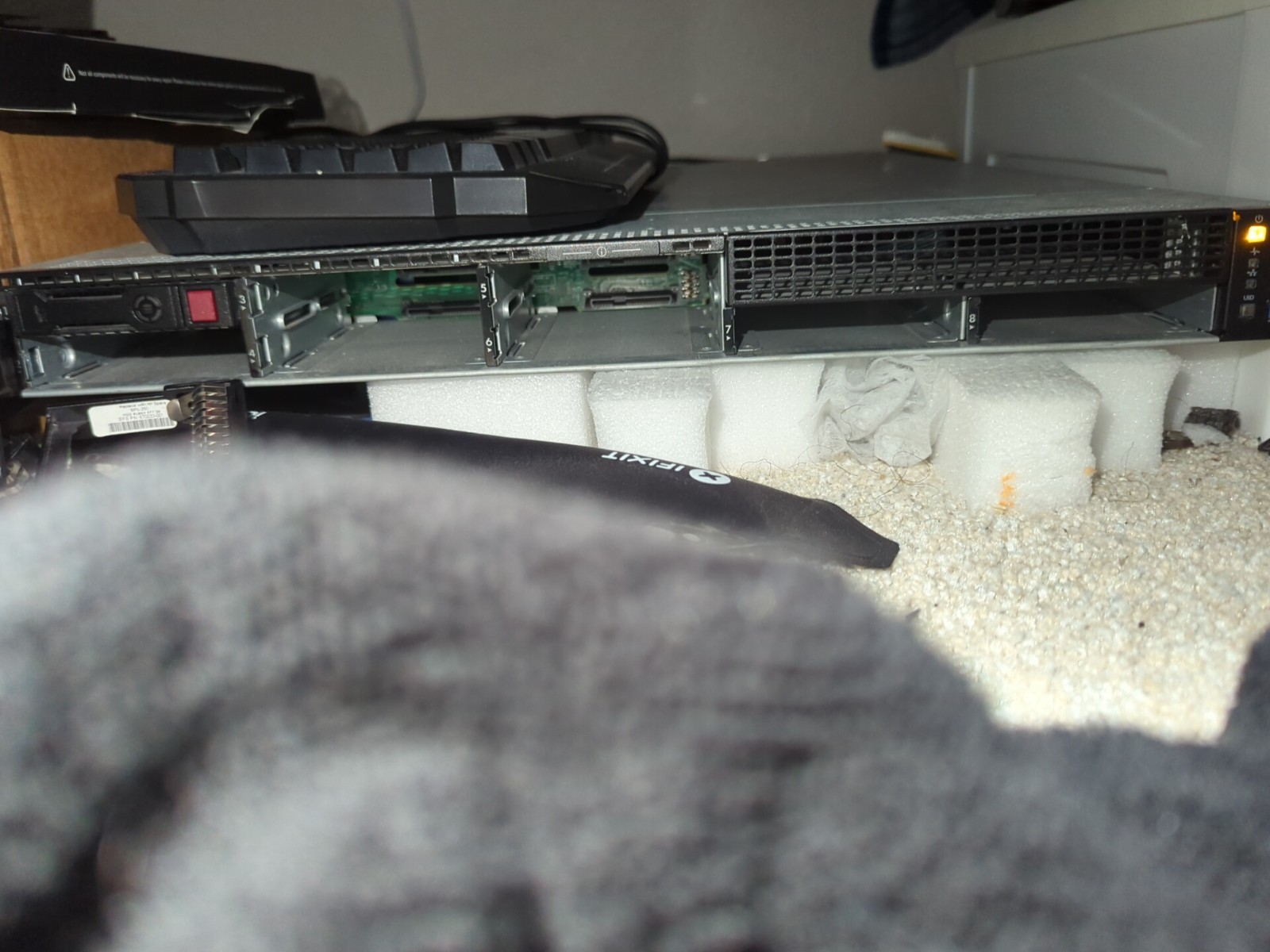 HP ProLiant DL360 Gen9 Read Disruption