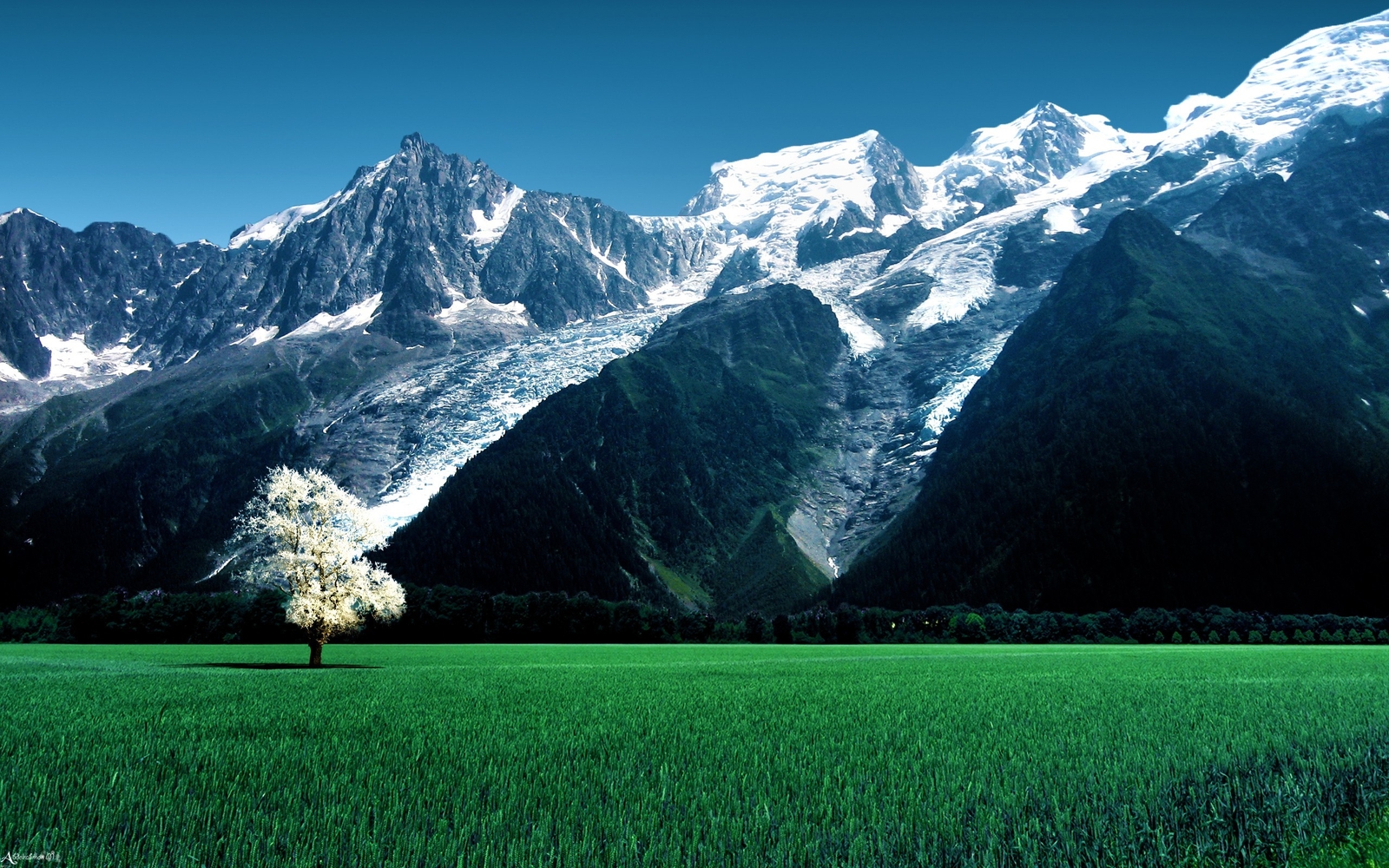 Landscape grass mountains snowy peak field plants agro Custom Gaming Mat Desk