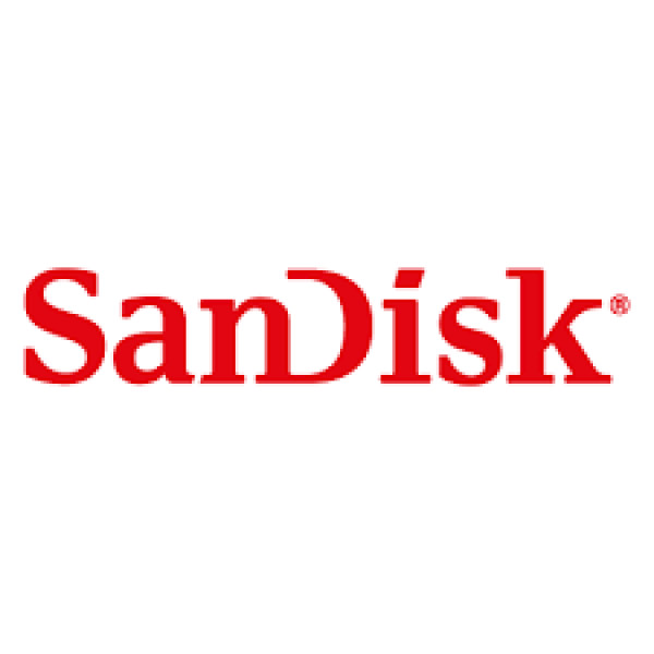 Rare Vintage SanDisk 21.4 MB FlashDrive Hard Drive (SDIBTI-20-101)