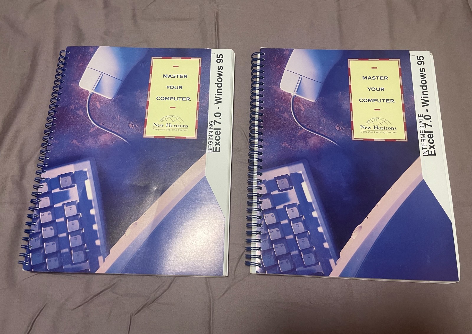(2) Master Your Computer Beg + Int PowerPoint 97 Windows 95 Learning Manual