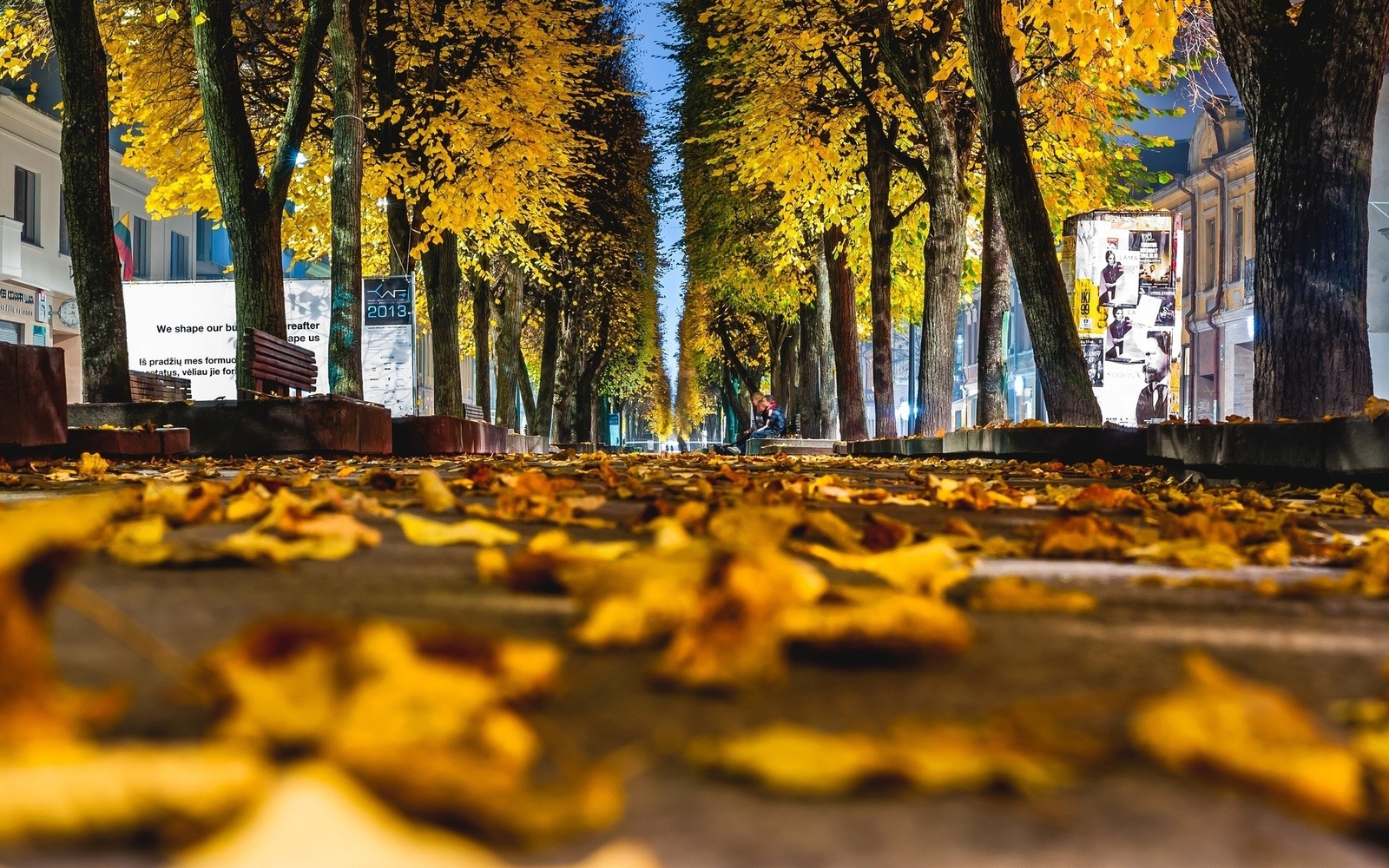 Landscape worms eye view trees leaves fall street kaunas Custom Gaming Mat Desk