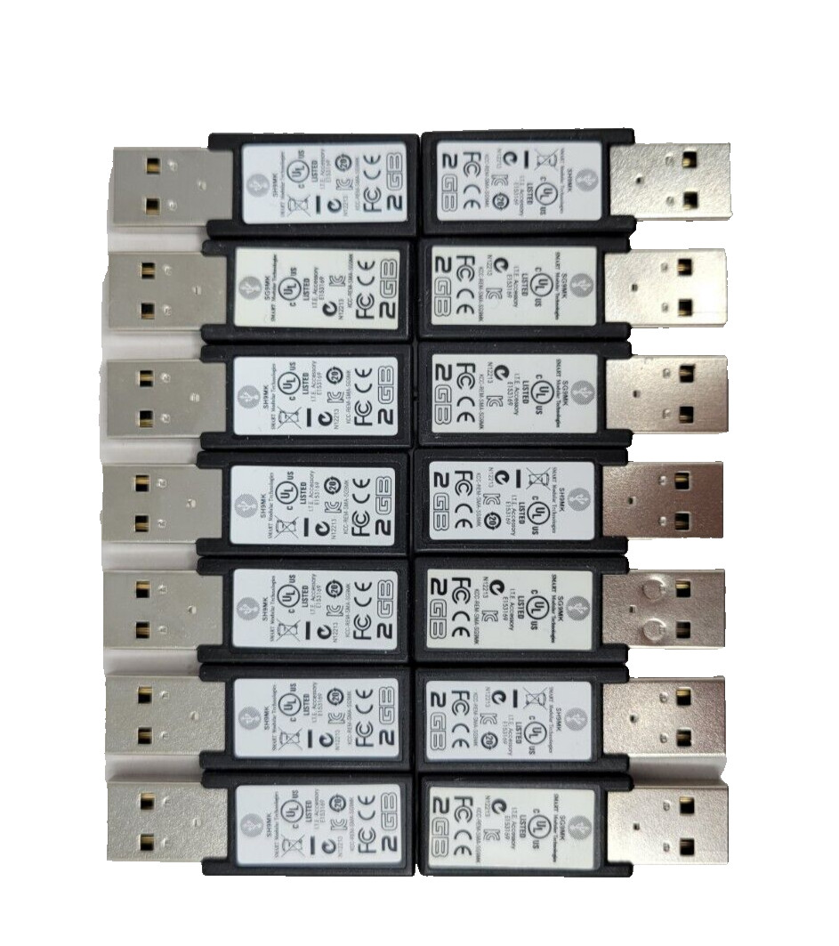 IBM Smart 2GB USB Flash Drive ESXi VMWare Memory Key 120424M2