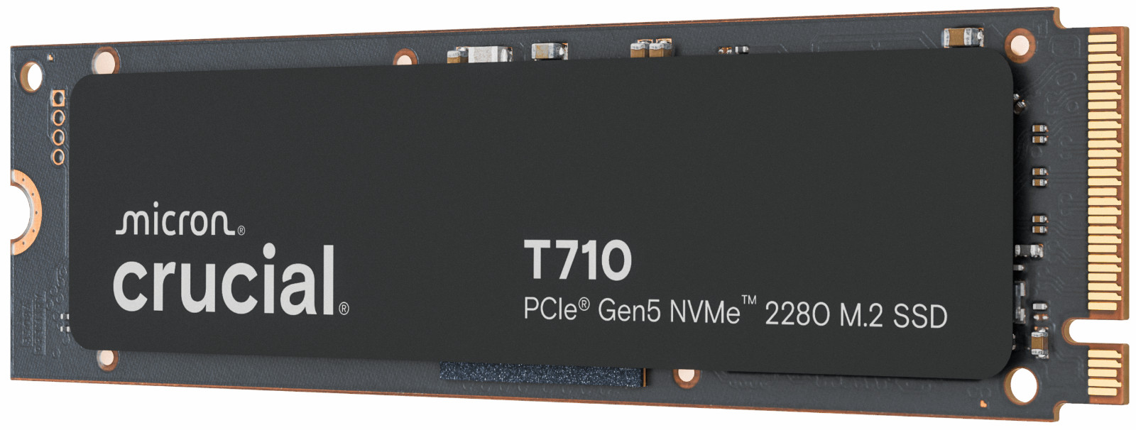Crucial T710 4TB PCIe Gen5 NVMe M.2 SSD CT4000T710SSD8