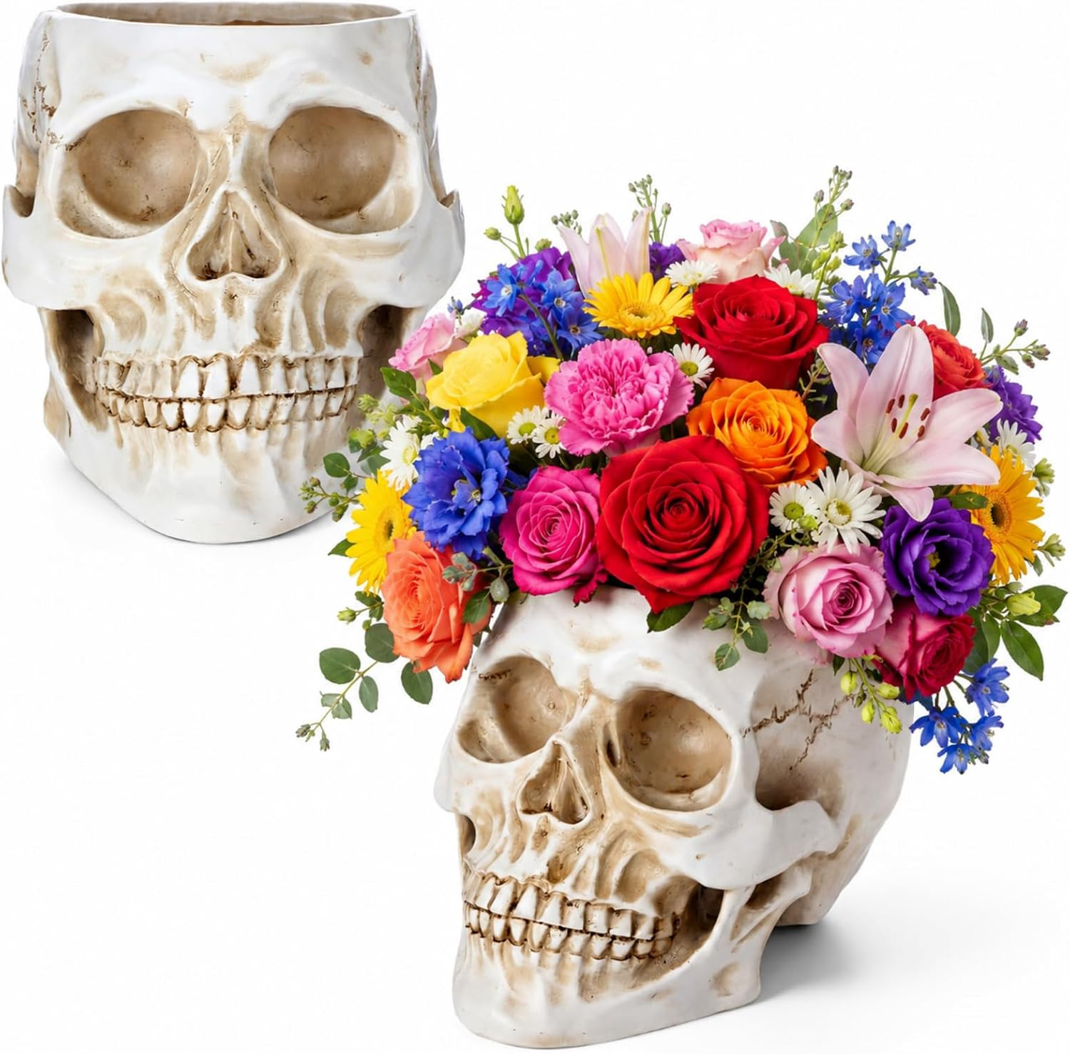 2 Pack Halloween Skull Planter, Antique White, Minimalist