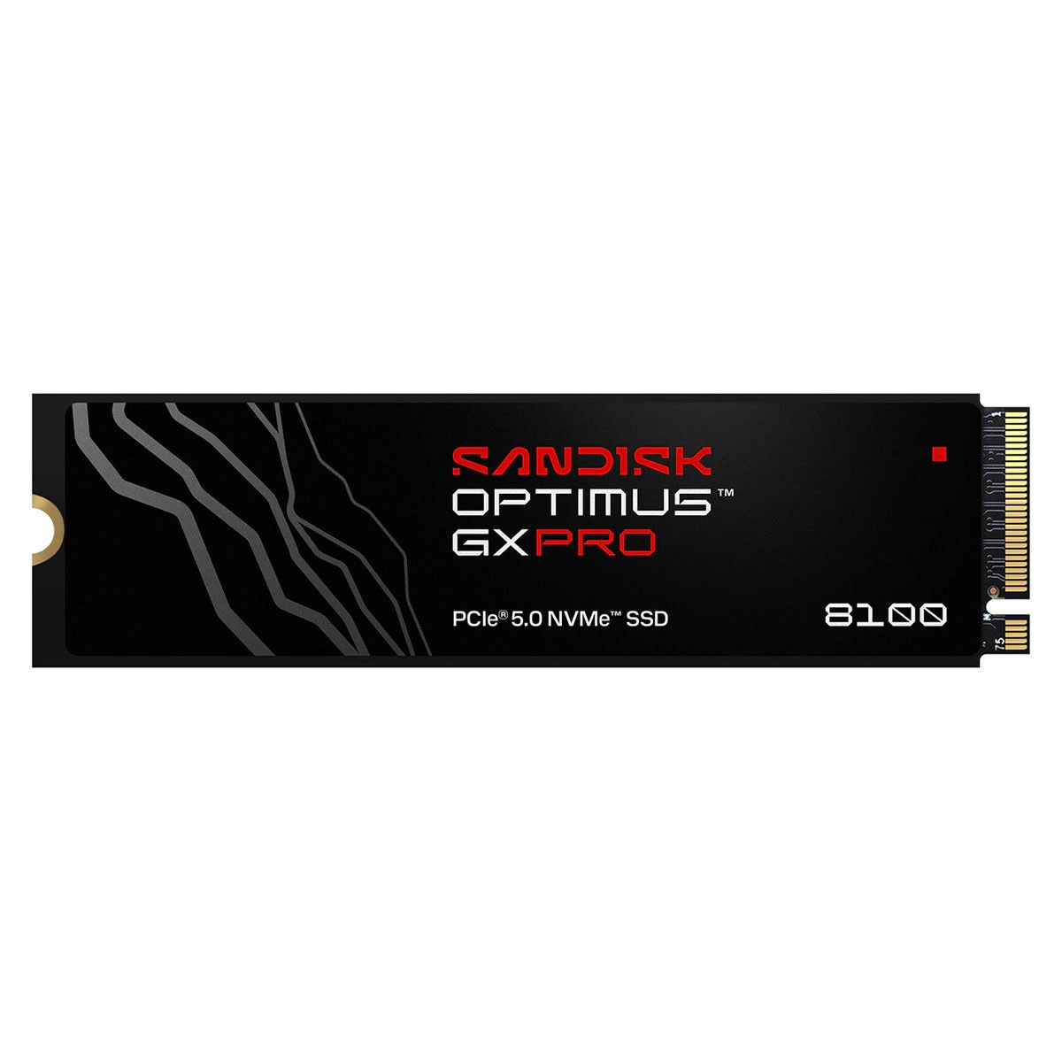 SanDisk SANDISK OPTIMUS GX PRO 8100 1TB