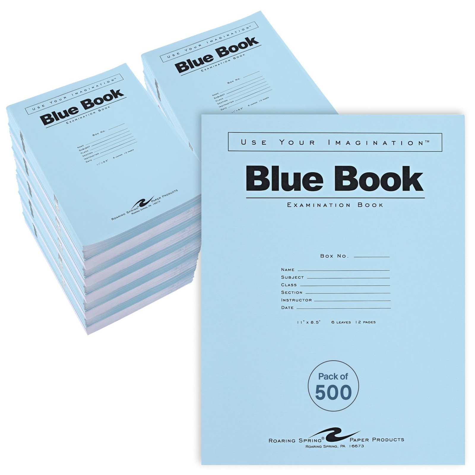 Exam Blue Books 11 x 8.5 6 Sheets Wide Ruled Roaring Spring School