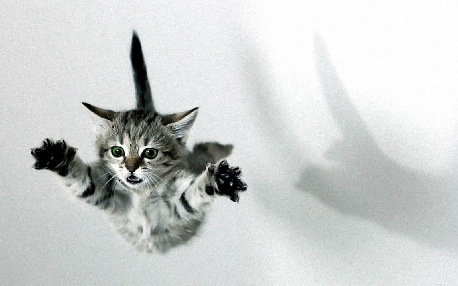 Landscape cats kittens fall jumping Custom Gaming Mat Desk
