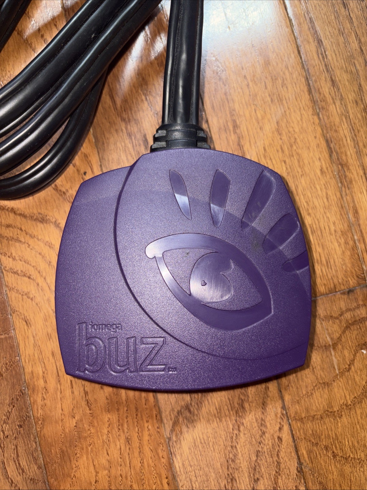 Vintage Iomega Buz Multimedia Producer - used