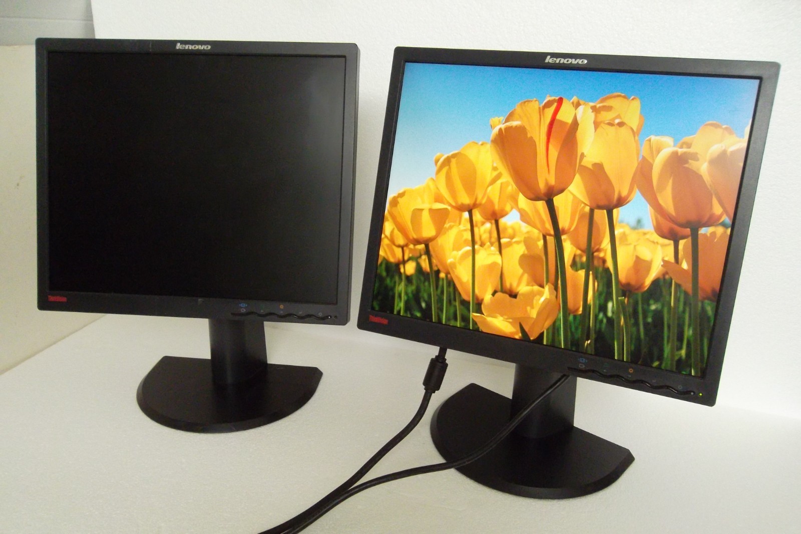 LOT-2 Lenovo ThinkVision L1900pA Dual Monitor Setup 19" VGA DVI L1900 4431-HE1