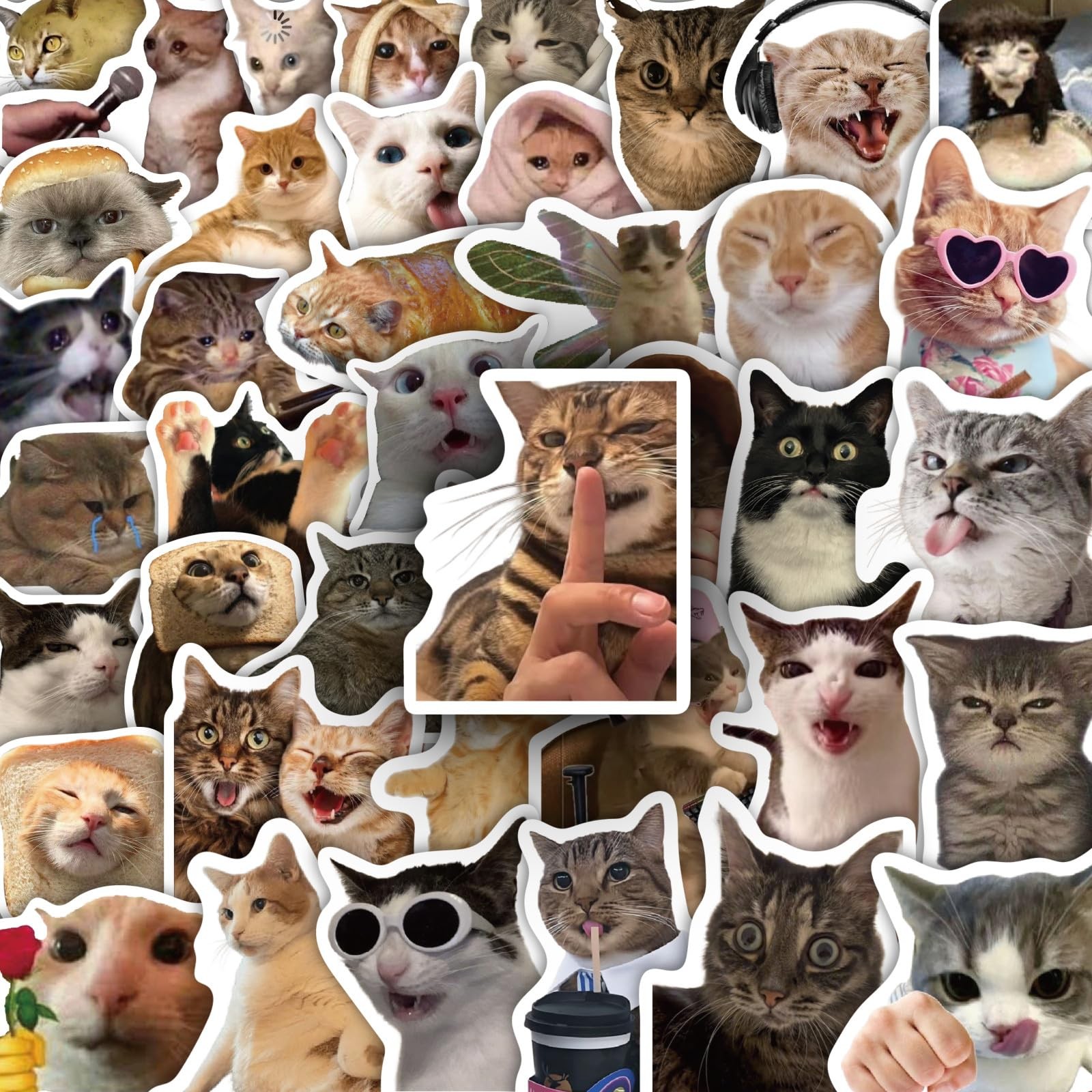 HopPixelle 100 Pcs Cat Stickers, Funny Meme for Water Bottles Colorful 